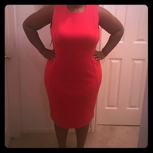 Calvin Klein Hot Pink Shift Dress (18w)